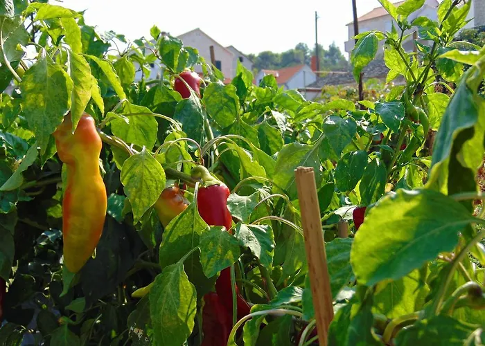 House Santa Barbara Nyaraló
